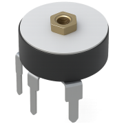 F12NP B50K W12555-2.2×16 B1